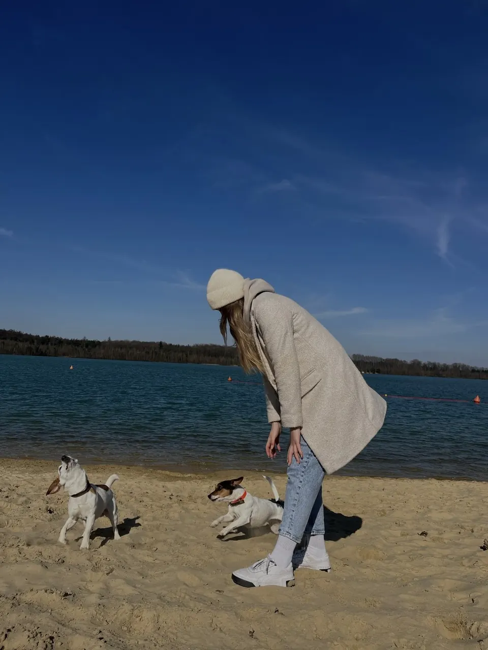 Zwei Hunde spielen am Strand, Marlen Weber schaut zu
